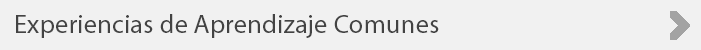 Experiencias%20de%20Aprendizaje%20Comunes.png