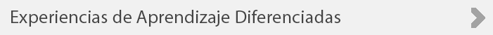 Experiencias%20de%20Aprendizaje%20Diferenciadas.png