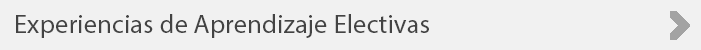 Experiencias%20de%20Aprendizaje%20Electivas.png
