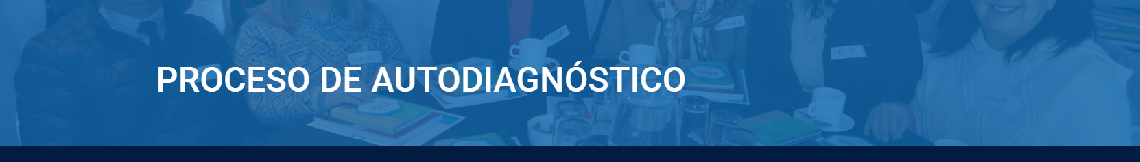 Autodiagnóstico