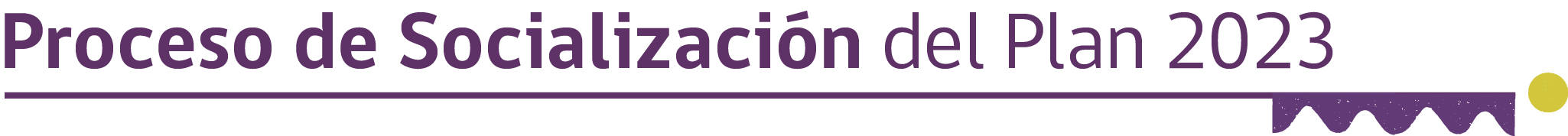 Proceso de Socialización del Plan 2023
