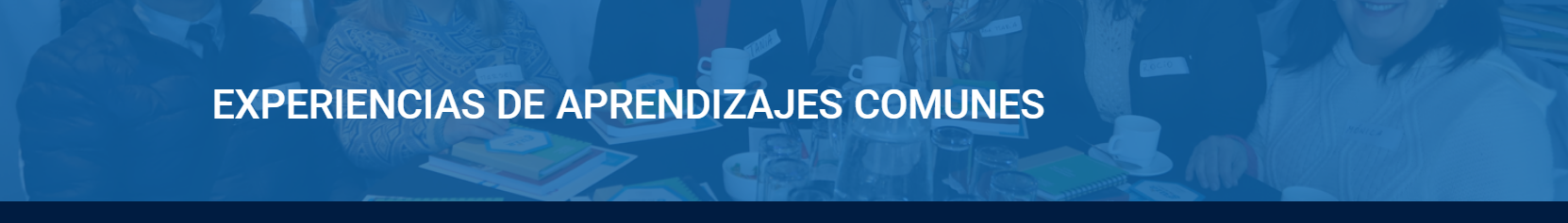 Experiencias de aprendizaje común