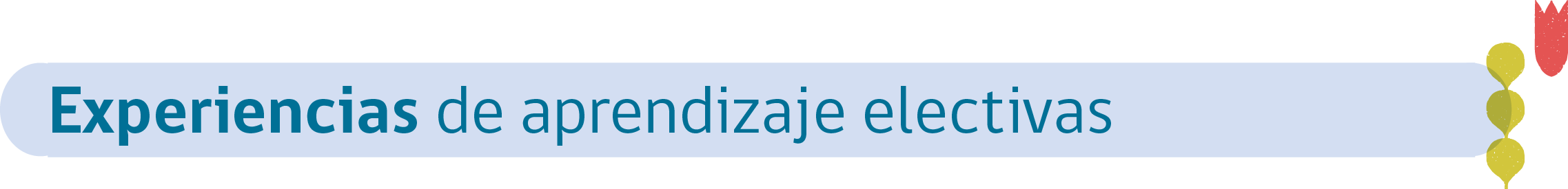 Experiencias de aprendizaje electivas 